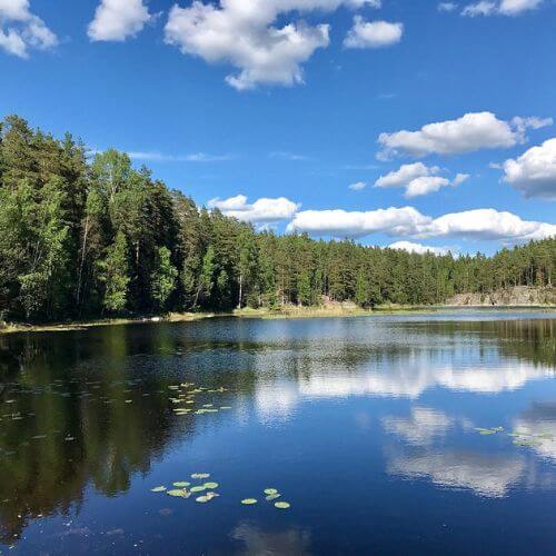 Roamoria-Nuuksio National Park