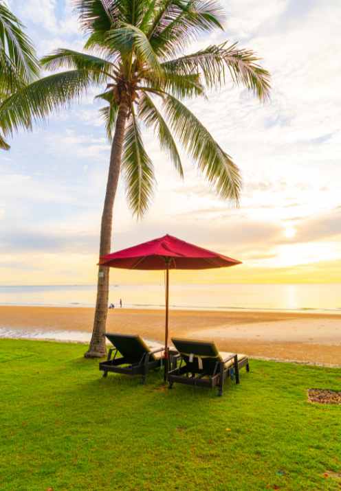 Roamoria-about beach